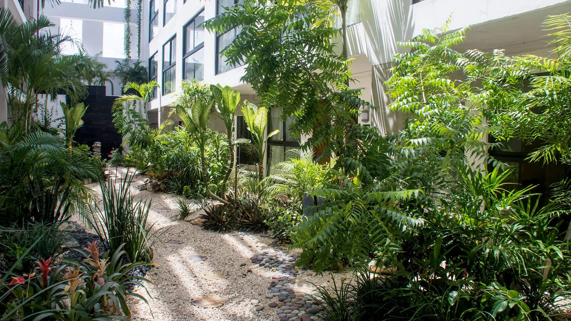 ****  Hotel 52 Playa Del Carmen Mexico
